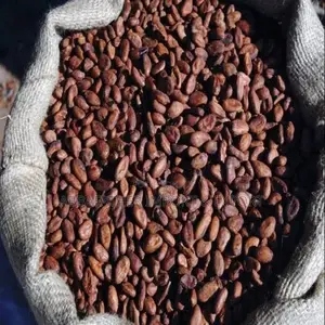 Cocoa Beans