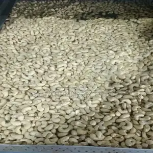 Cashew Nut (Export Ready)