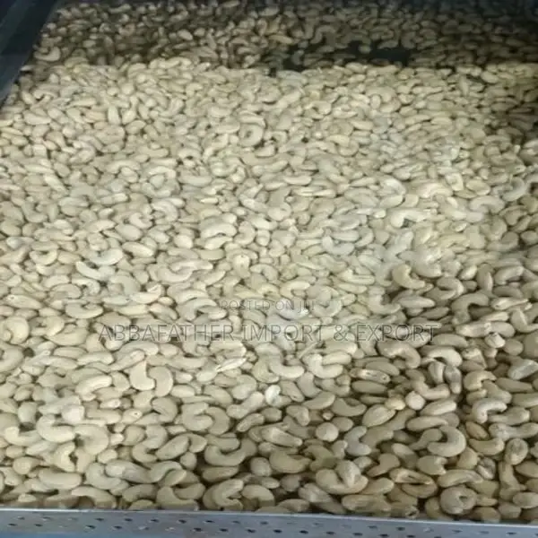 Cashew Nut (Export Ready)