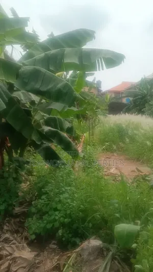 Half Plot of Land in an Estate Within New Oko Oba
