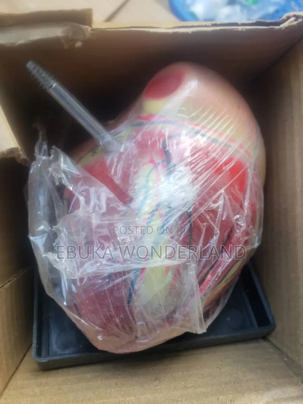 Heart Model