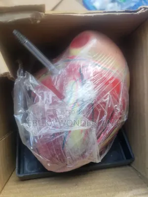 Heart Model