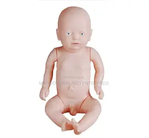 Newborn Model