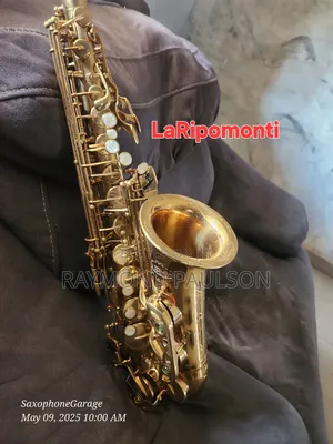 Photo - Laripomonti Alto Saxophone