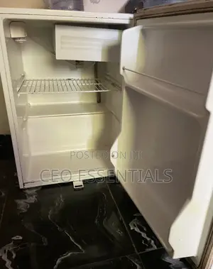 Haier Thermocool Refrigerator