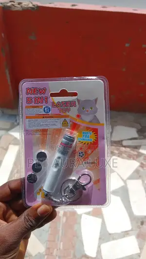 Cat Laser/Pointer