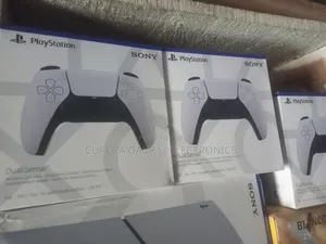 Ps5 Original Custom Pad