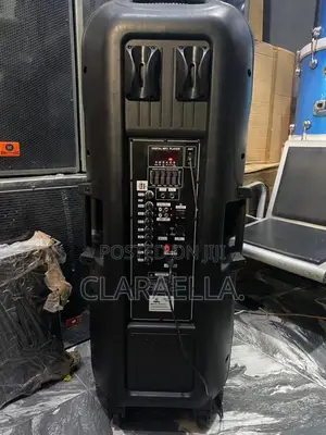 Double Public Address System