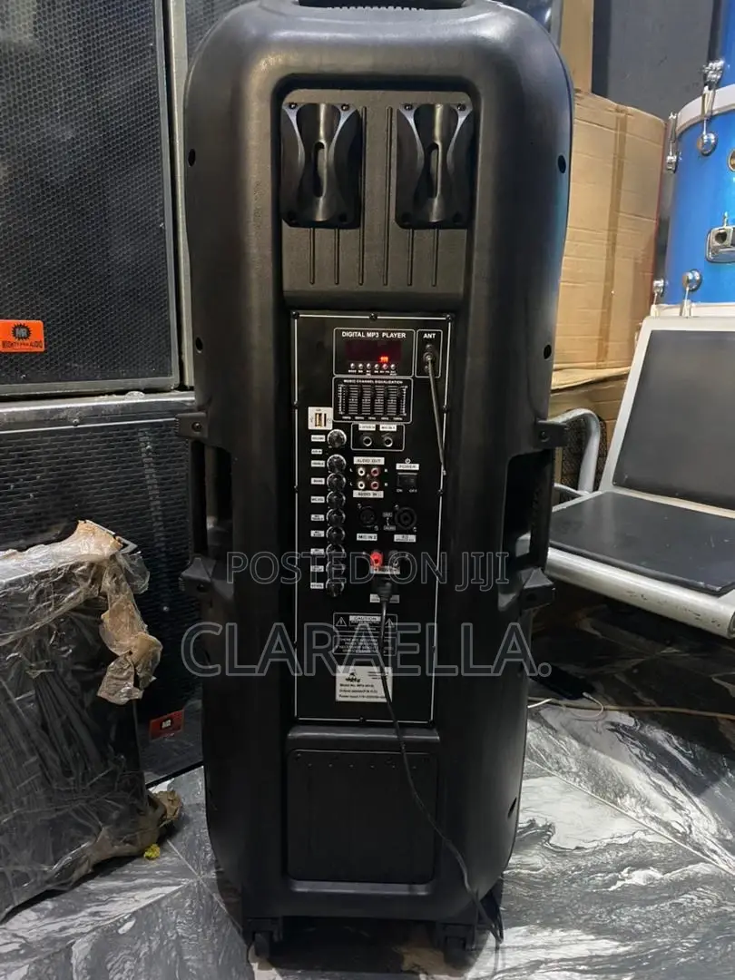 Double Public Address System