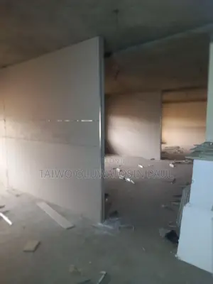 Drywall Partitions/Ceiling,Sound Insulation/Screeding/Paint