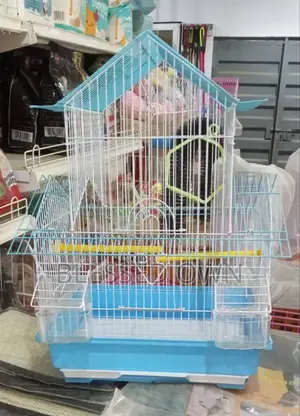 Cage for Sale at Affordable Prices