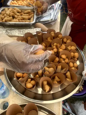 Starters & Small Chops For Events