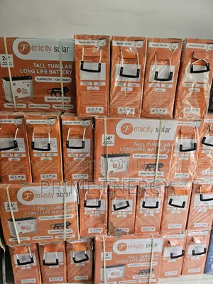 240ah Fenicity Tall Tubular Battery