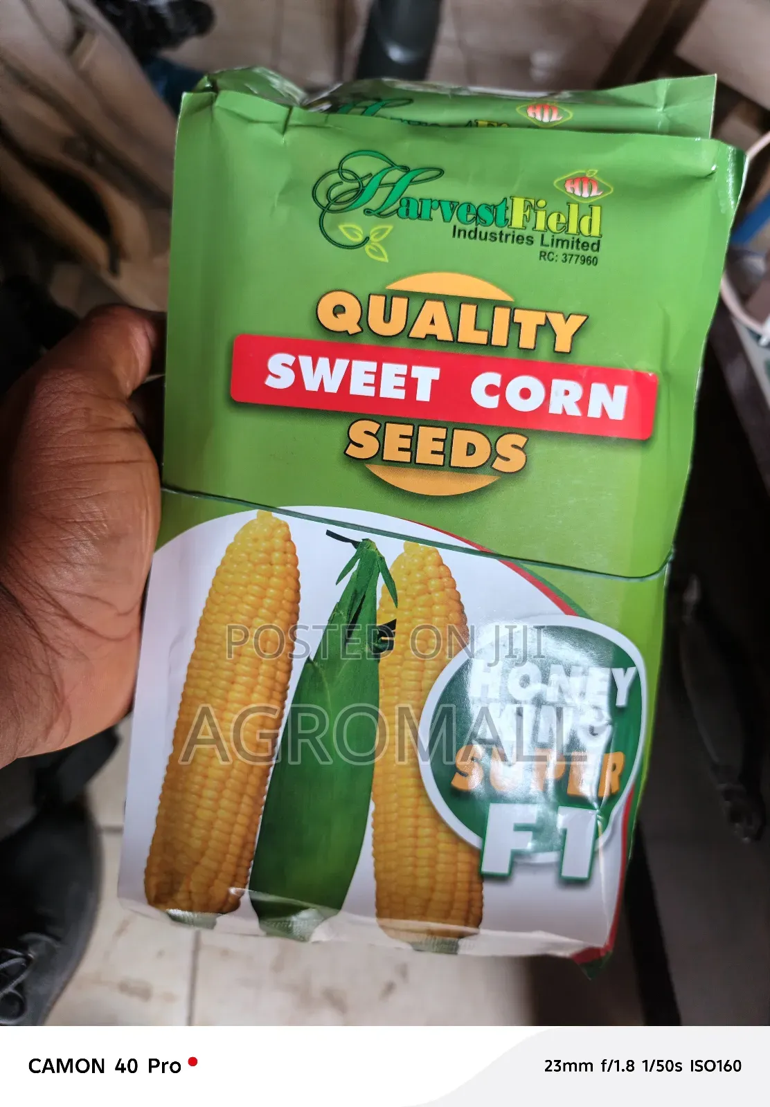Sweet Corn Seed