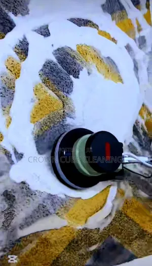 Professional Carpet Rug Cleaning
