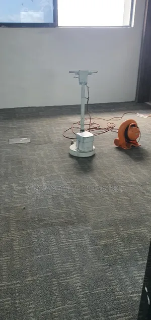 Wall Carpet Cleaning Services