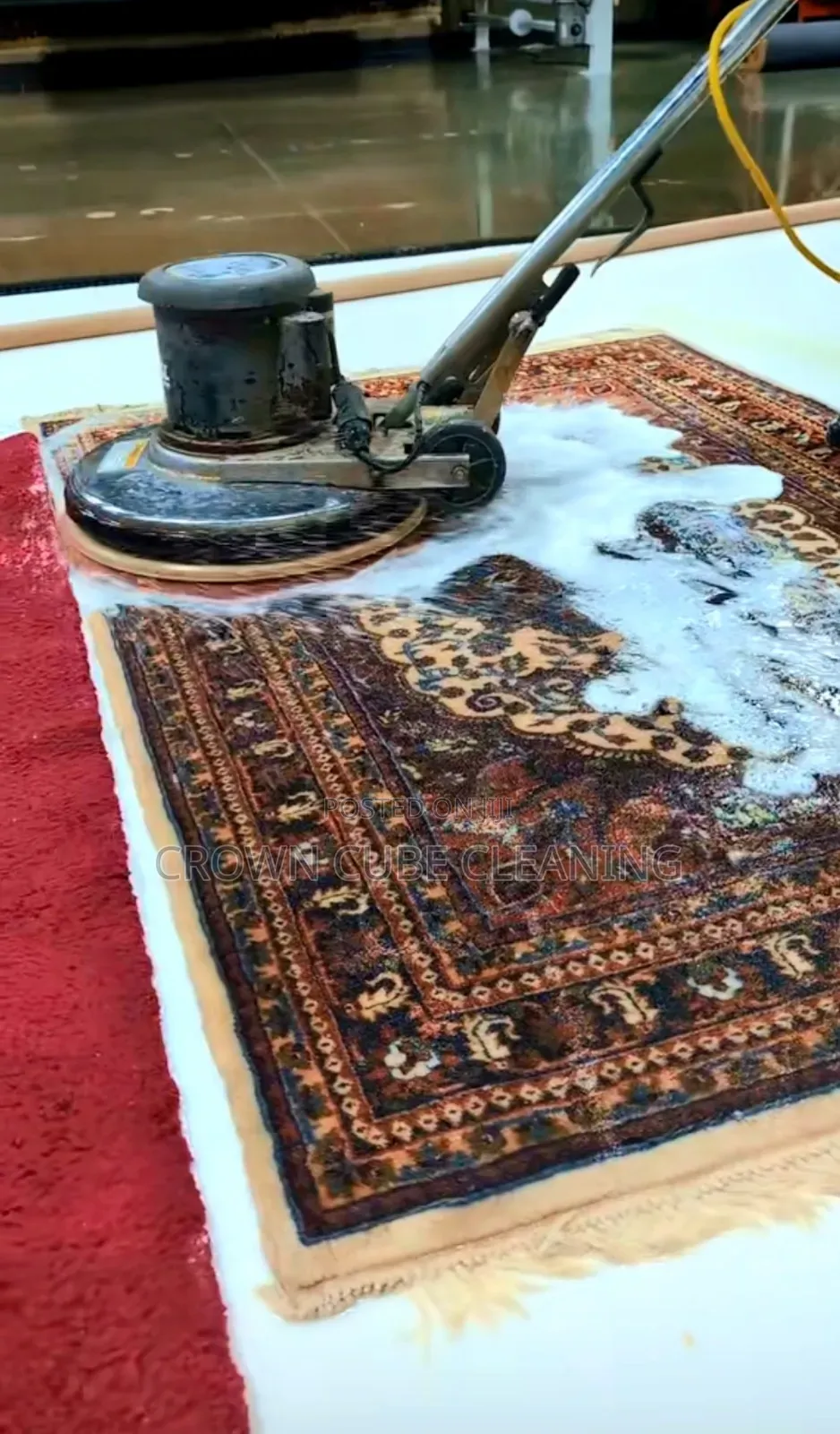 Wall Carpet Cleaning Services