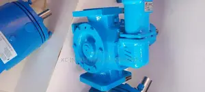 2 Inches Johnson Oil Pump