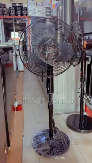 Maxi Standing Fan