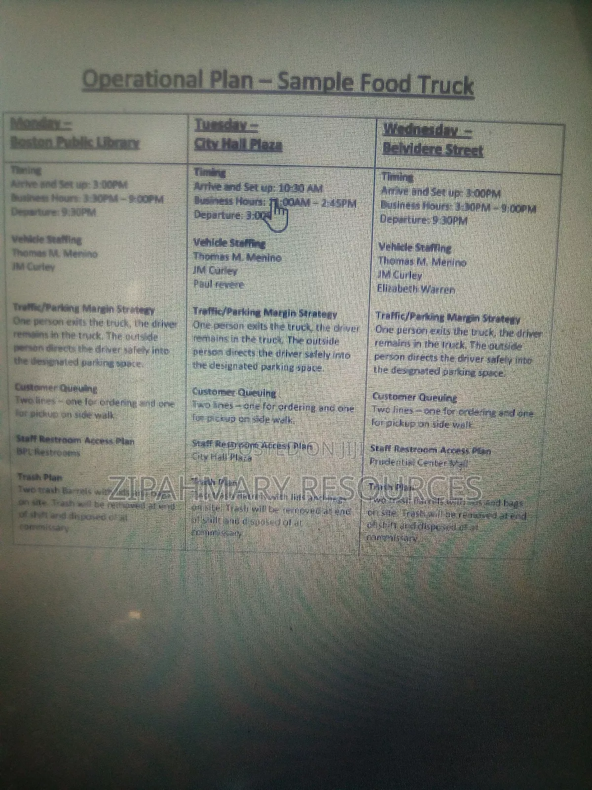 Proposal, Business Plan and Research Writer