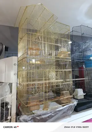 Bird Cage for Sale