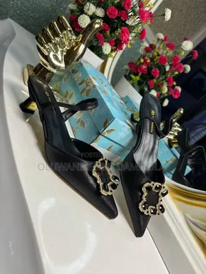 Photo - Beautiful  Low Heel Shoe