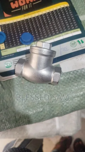 Stainless Steel Threaded Non Return Valves