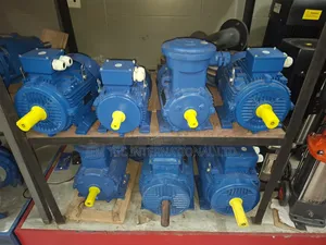 Electric Motor