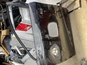 Toyota Lexus Rx350 024/025 Fl Door (Body Spare Parts)