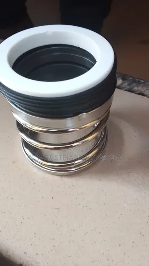 Oil Seal for Pumps