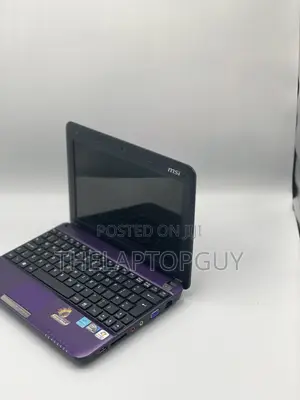 Laptop MSI 2GB Intel Atom HDD 160GB