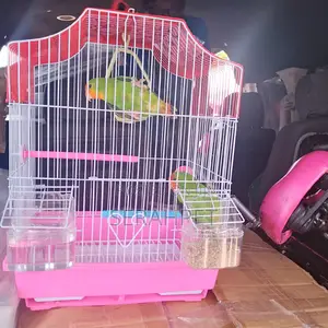Parrot Cage for Sale