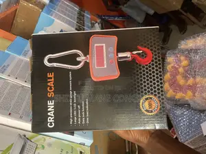 500kg Digital Crane Scale