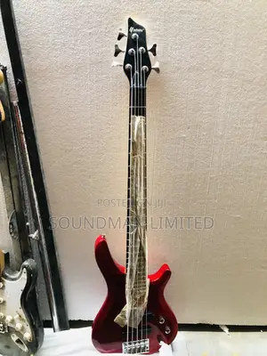 Infinity 5 Strings Bass Guitar