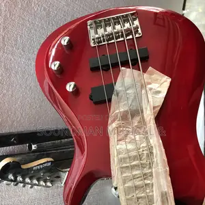 Infinity 5 Strings Bass Guitar