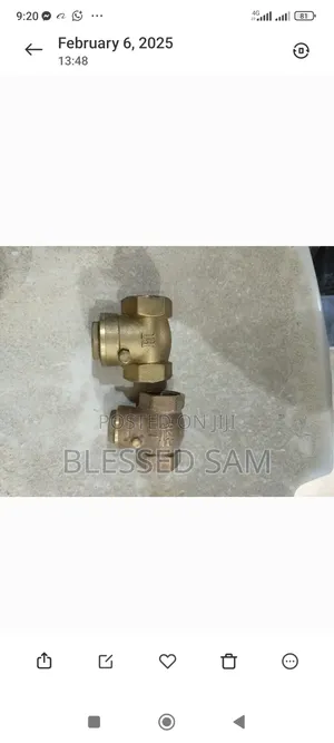 Brass Non Return Valves