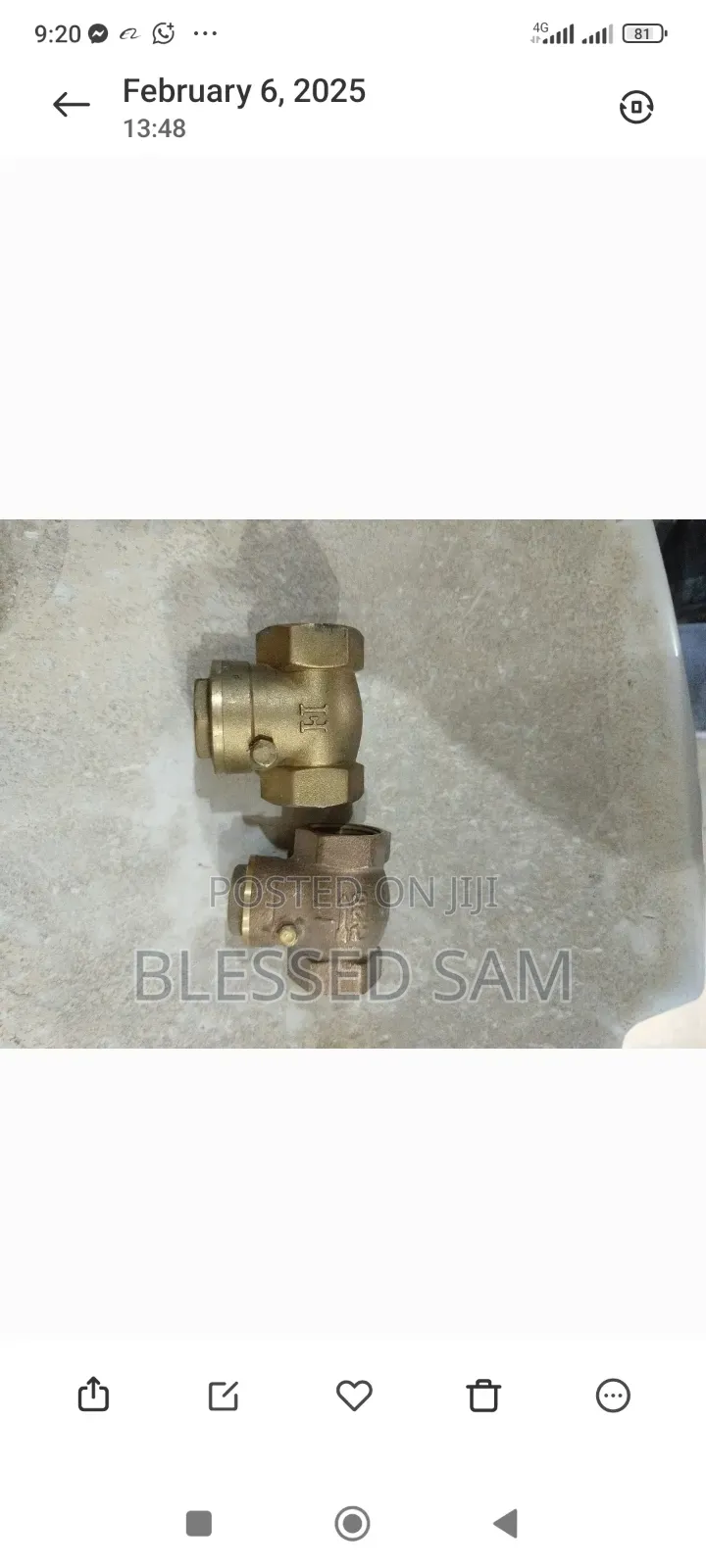 Brass Non Return Valves