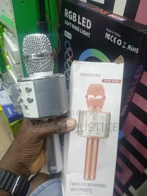 Children Karaoke Microphone