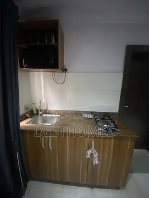 Executive Studio Apartment at Ikeja