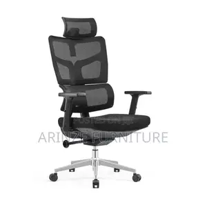 Executive Netchair