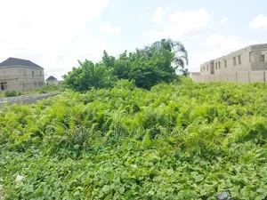 2, 194sqm Plot Adeola Adeku by Zenith Bank P v I