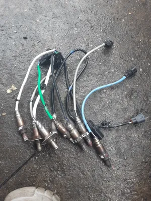 Oxygen Sensor for Any Kinds of Vehicles Is Available
