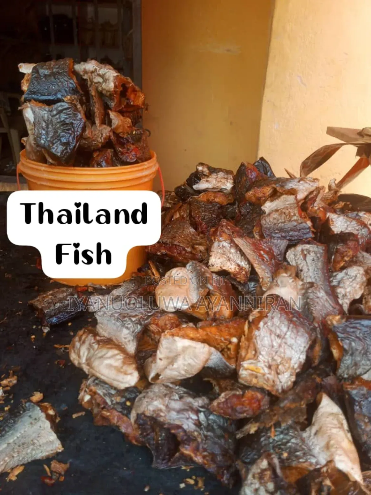 Thailand Mangala Fish