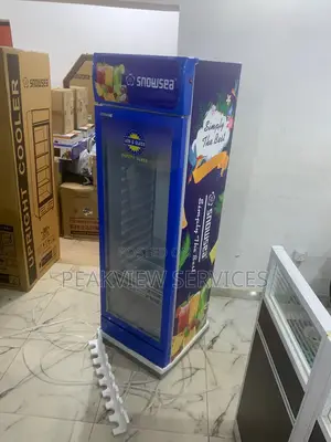Affordable Cooling With Snowsea Lc 300w Chiller