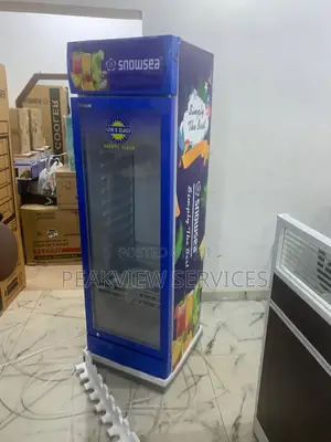 Snowsea Lc 300w Chiller - Trusted for Cold Storage