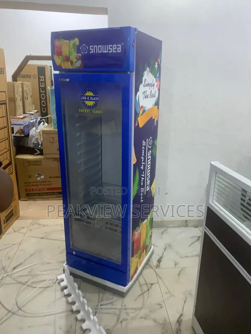 Snowsea Lc 300w Chiller - Trusted for Cold Storage