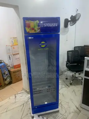 Snowsea 300w - Compact Chiller, Big Performance