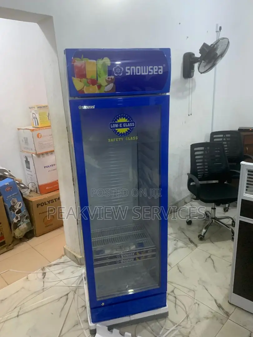 Snowsea 300w - Compact Chiller, Big Performance