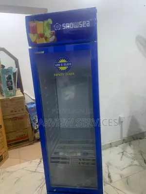 Snowsea Lc 300w Chiller - Trusted Cooling for All Seasons