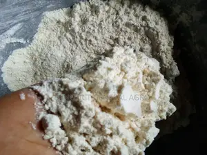 Fermented Millet Flour